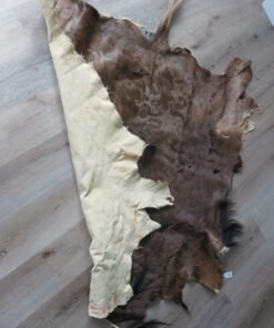 Wildebeest Hide/Skin