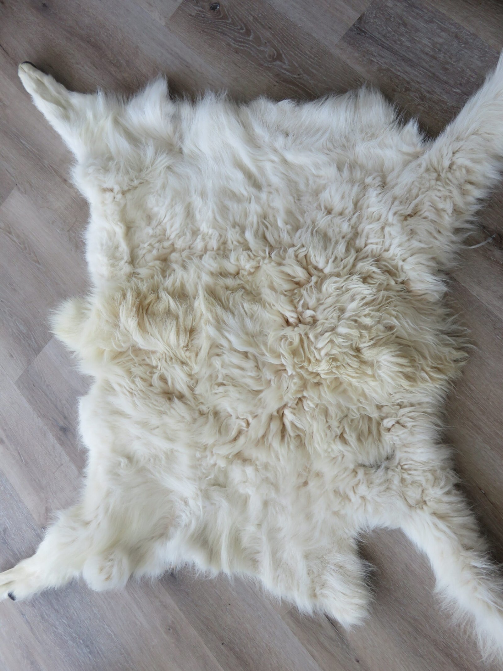 Mountain Goat Rug