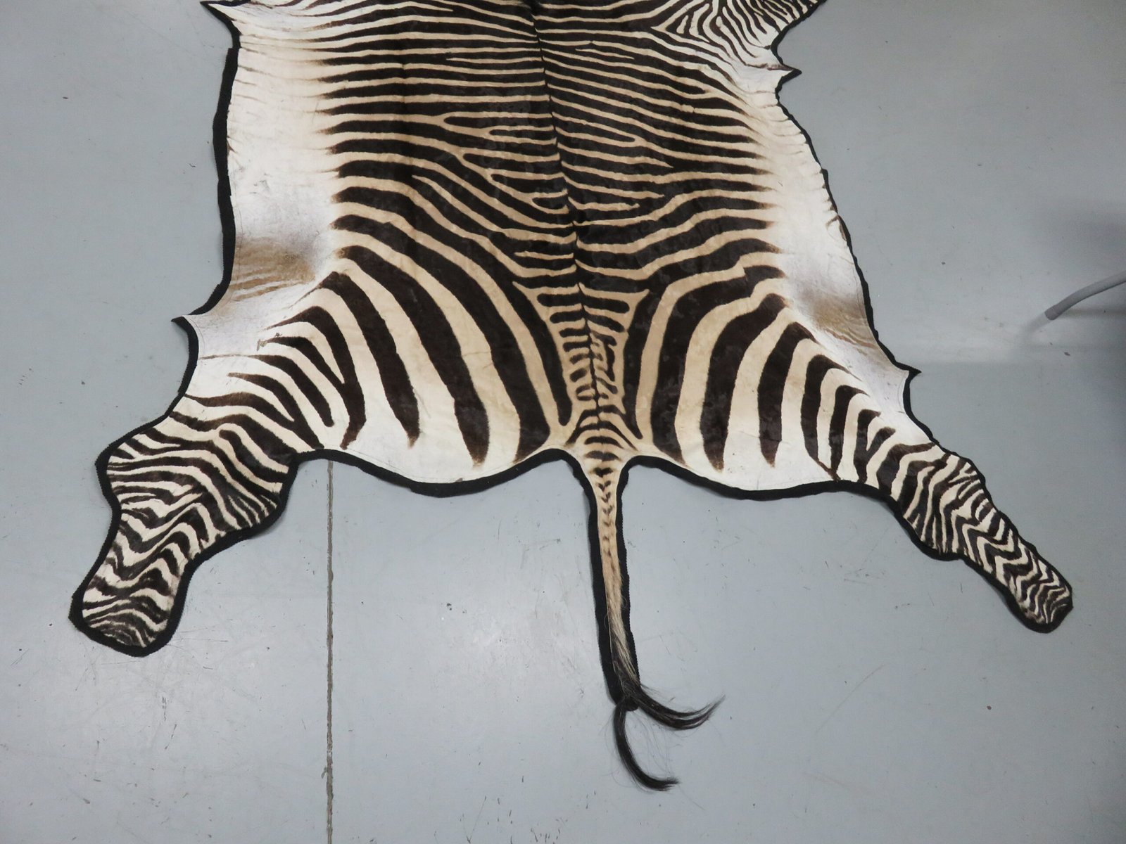 Zebra Rug