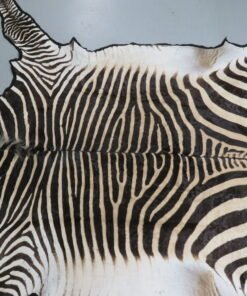 Zebra Rug