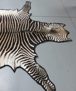 Zebra Rug