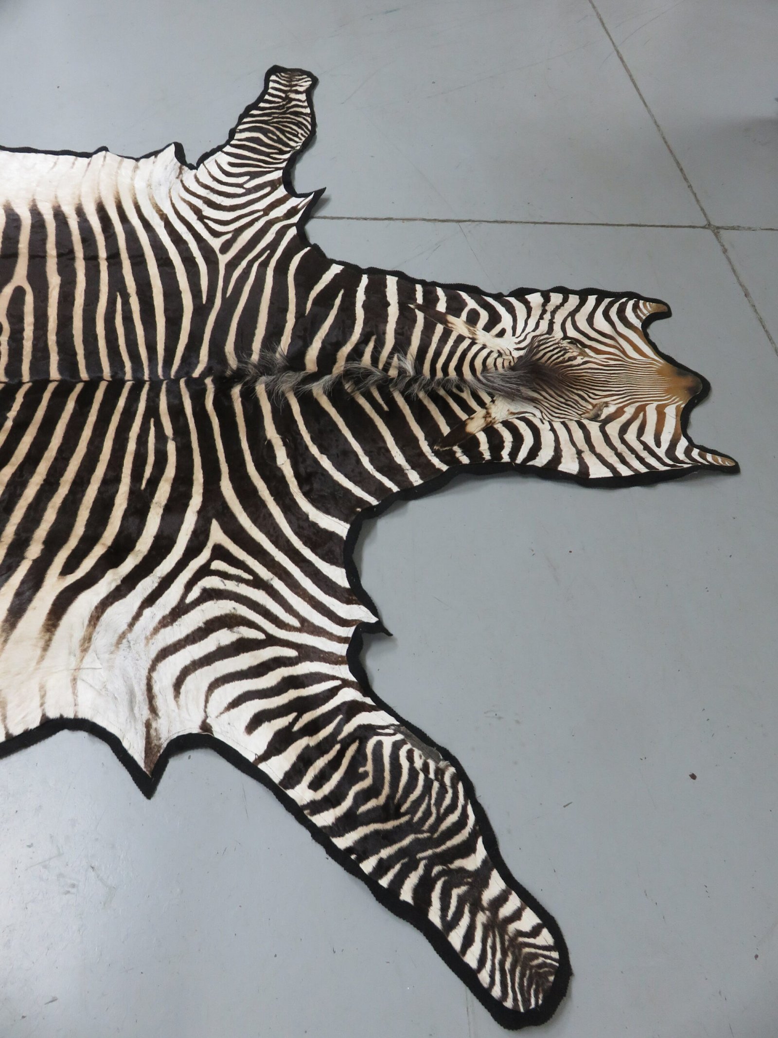 Zebra Rug