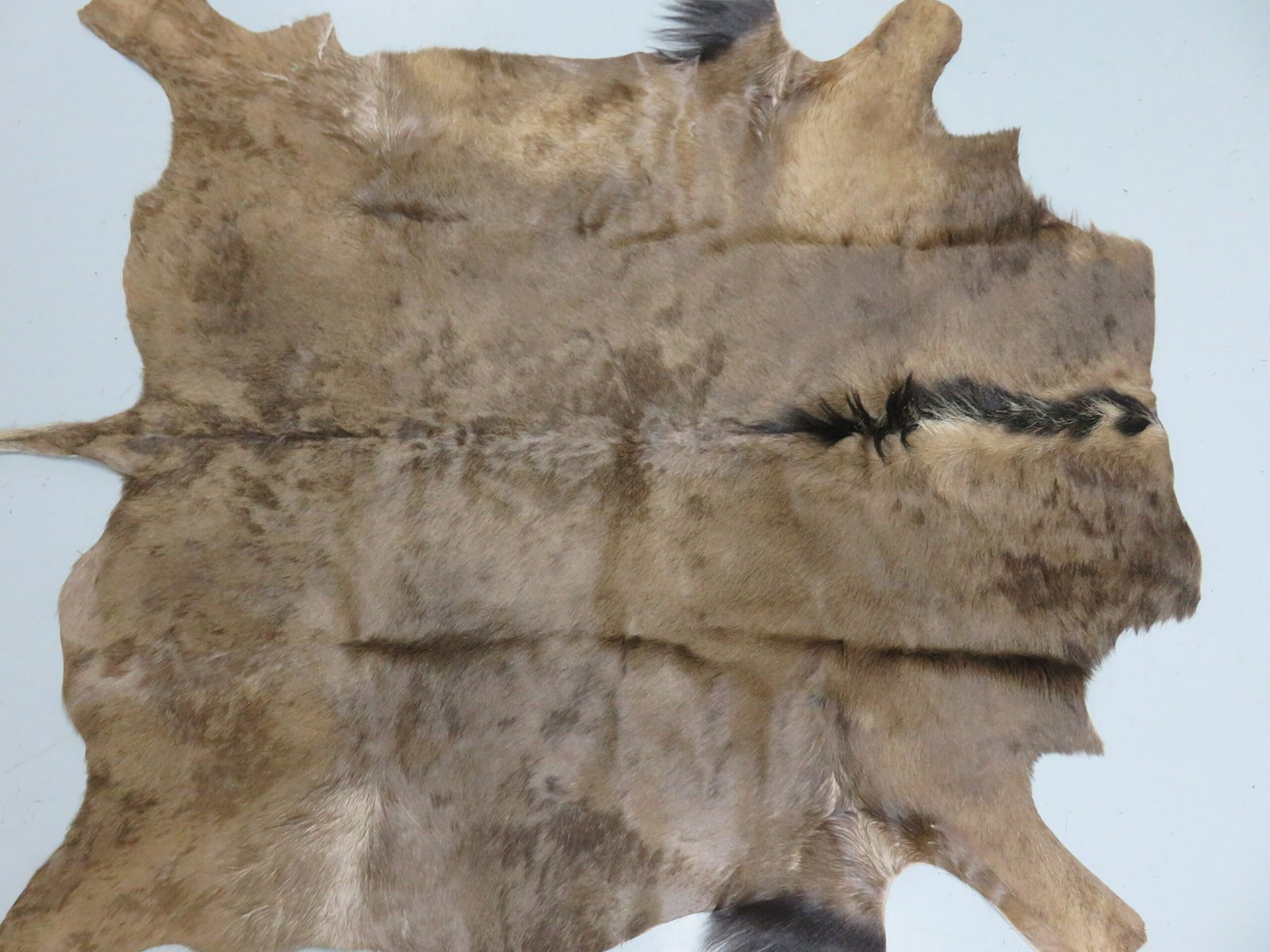 Blue Wildebeest Hide