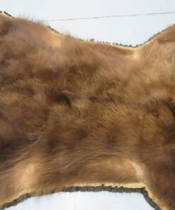 Bear Skin Rug