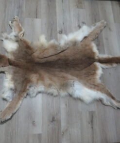 Tanned Mountain Lion Hide For Sale