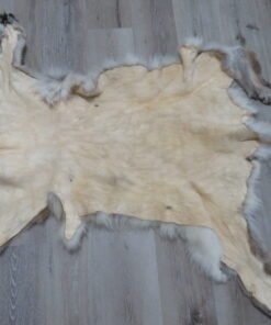 Tanned Mountain Lion Hide For Sale