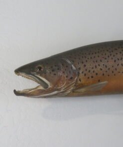 Brown Trout RealSkin