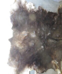 Moose Hide Taxidermy