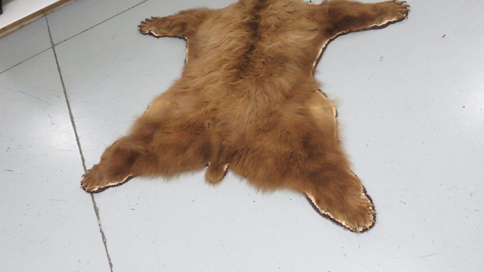 Black Bear Rugs For Sale