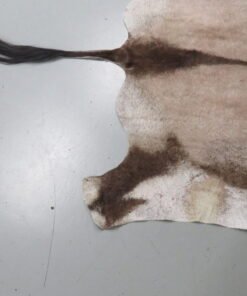 Gemsbok Tanned Back Hide