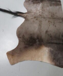 Blue Wildebeest Tanned Back Hide