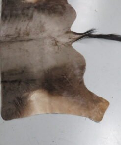 Blue Wildebeest Tanned Back Hide