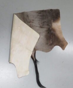Blue Wildebeest Tanned Back Hide