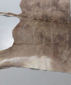 Kudu Tanned Skin