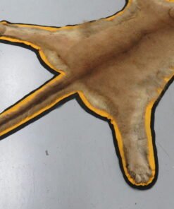 Cougar Skin Rug For Sale