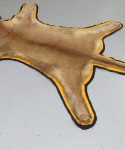 Cougar Skin Rug For Sale
