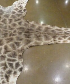 Giraffe Hide For Sale