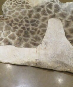 Giraffe Hide For Sale