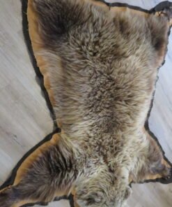 Grizzly Bear Rug For Sale