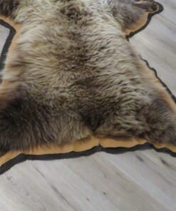 Grizzly Bear Rug For Sale