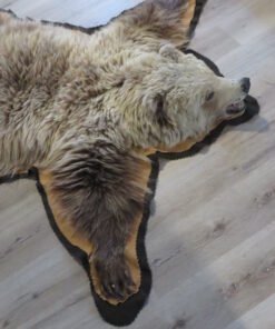 Grizzly Bear Rug For Sale