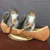 Squirrel Canoe Mount (Double)