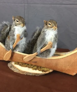 Squirrel Canoe Mount (Double)