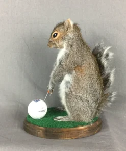Squirrel Golfing Mount