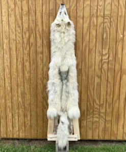 Timber Wolf Hide