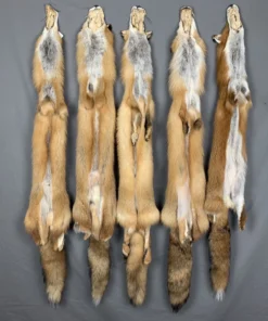 Red Fox Fur