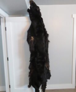 Large Alaskan Black Bear Tanned Hide