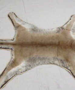 Mountain Lion/Cougar Rug