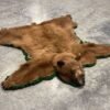 Brown Bear Rug For Sale