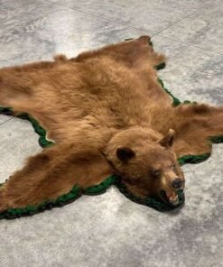 Brown Bear Rug For Sale