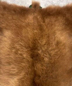 Brown Bear Rug For Sale