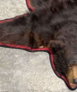 Black Bear Rug For Sale