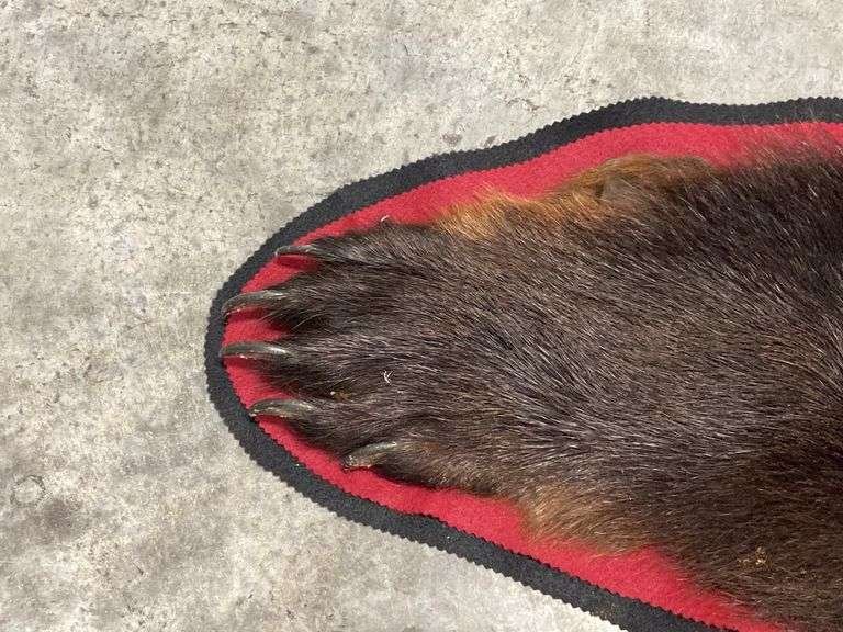 Black Bear Rug For Sale