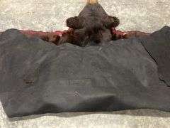 Black Bear Rug For Sale