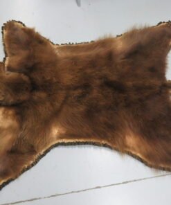 Bear Skin Rug
