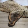 Grizzly Bear Rug For Sale