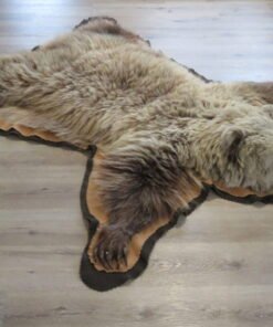 Grizzly Bear Rug For Sale