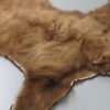 Black Bear Rugs For Sale