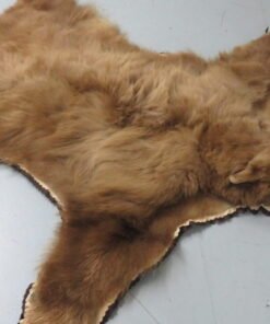 Black Bear Rugs For Sale