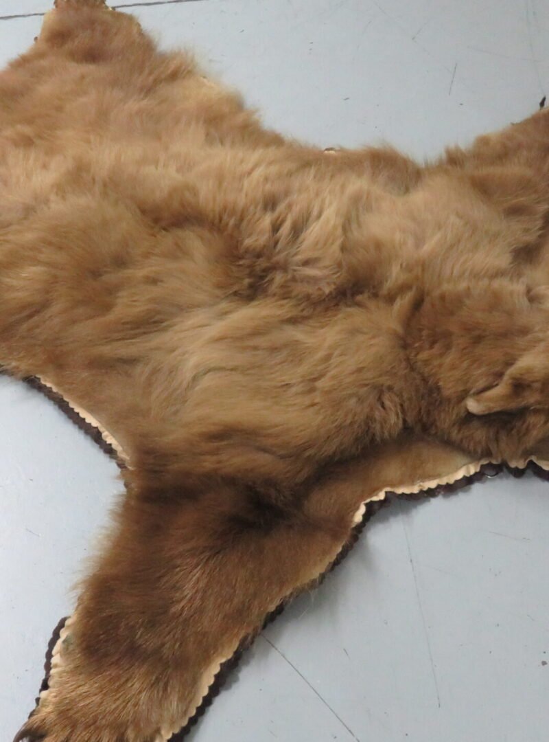 Black Bear Rugs For Sale