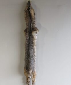 Bobcat Fur For Sale