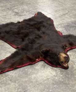 Black Bear Rug For Sale