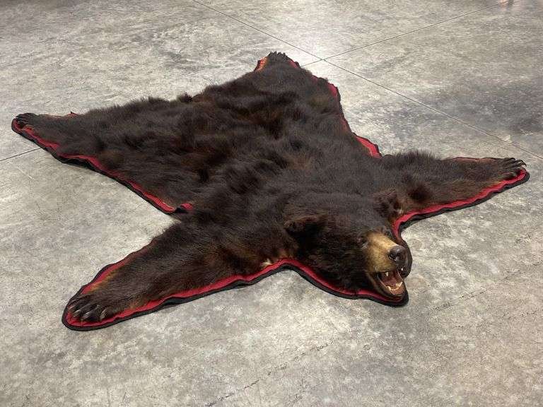 Black Bear Rug For Sale