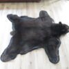 Alaskan Black Bear Taxidermy Rug