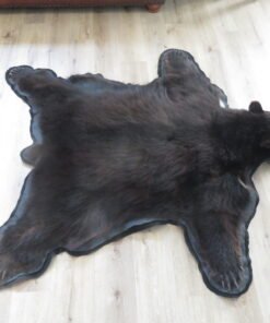 Alaskan Black Bear Taxidermy Rug