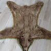 black bear rug